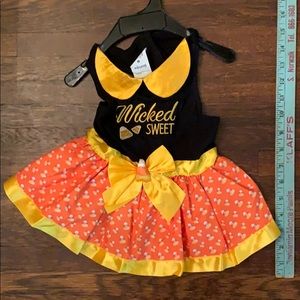 Wicked Sweet Dog Halloween Costume Dress Med NWOT